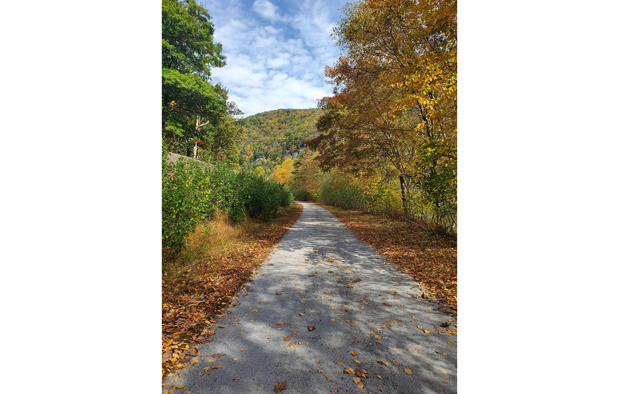 Image for D & L trail near Glen Onoko (Physical)